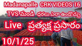 10/1/25 Madanapalle Tomato market price today 🍅మదనపల్లె టమాటా రేట్లు