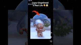 Crazy Gingerbread 🤯👇 on google map and google earth 🌎