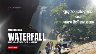 ମାଙ୍କଡ଼ଡିଆଁ ଜଳ ପ୍ରପାତ ଗଜପତି || tour to mankadadian waterfall || waterfall in odisha