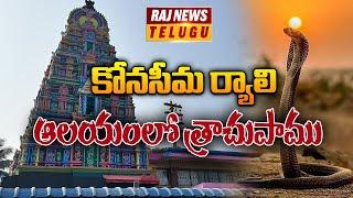 కోనసీమ ర్యాలి ఆలయంలో త్రాచుపాము | Snake in Konaseema Rally Temple | Raj News