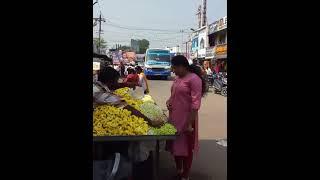 அரசு பஸ் அருமையான அழகான நினைவுடன் திருப்பத்தூர் பஸ் ஸ்டாண்ட் உள்ளே சென்றது