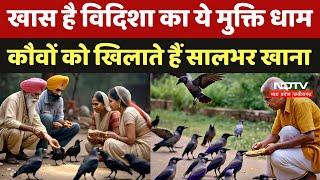 Madhya Pradesh: Vidisha का Mukti Dham खास, 'Crow Park' में कौवों को खिलाते हैं साल भर खाना | Latest