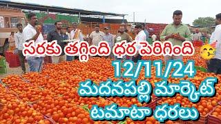 12/11/24 Madanapalle Tomato Market Price Today || Today Tomato Market Rate In Madanapalle