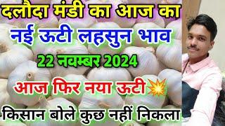 दलौदा मंडी नई लहसुन का भाव 22 नवम्बर 2024 |new ooty garlic rate today daloda Mandi |nai lahsun bhav