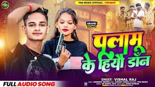 आ गया #Vishal_Raj का बबाल Song || #Palamu Ke Hiyau Don || #Rangdari Song || पलामू के हियौ डॉन