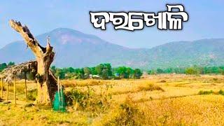 ଦରଖୋଳି -  ଔପଦା // Darakholi