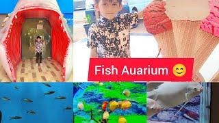 Biggest Aquarium Gallery of Maharashtra | Star ⭐ aquarium mahabaleshwar