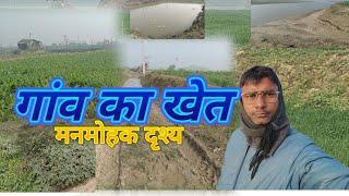 गांव में खेत का मनमोहक दृश्य। Village Agriculture in India Bihar Begusarai bkgulshan1