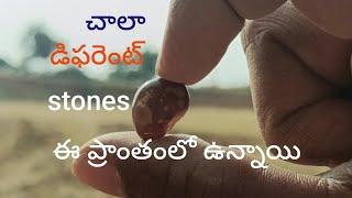 Diamond hunting పల్నాడు జిల్లా