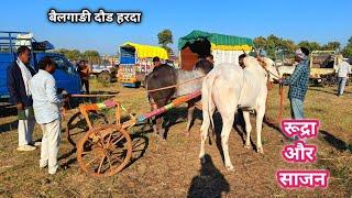 रूद्रा और साजन। बैलगाङी दौड हरदा।gaon ki Race। village life cow। bail race। bailgadi doud।