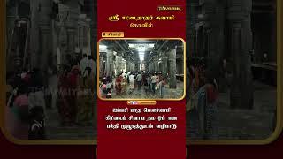 சீர்காழி ஸ்ரீ சட்டைநாதர் சுவாமி கோவில் ஐப்பசி மாத பெளர்ணமி கிரிவலம் | Sirkazhi Sri SattainatharSwamy