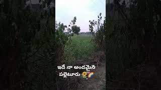 అందమైన పుట్టపర్తి 🌻 #song #telugu #beuty village #Nature #