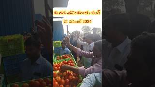 500 టాప్ కలకడ ER మండి లైవ్