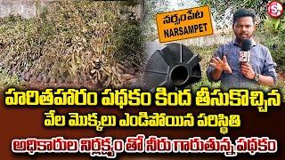 నర్సంపేట లో అధికారుల నిర్లక్ష్యం తో నీరు గారుతున్న పథకం | Narsampet Haritha Haram scheme |