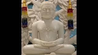 Jain Jinalay जैन जिनालय सनावद is live!