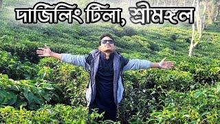 শীতে দার্জিলিং টিলা ভ্রমন, শ্রীমঙ্গল। যেভাবে ঘুরবেন শ্রীমঙ্গল।