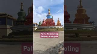 Most Beautiful Monastery In Bodhgaya | Palyul Namdroling Temple Bodh Gaya |