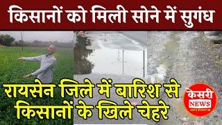 किसानों को मिली सोने में सुगंध! रायसेन जिले में बारिश से किसानों के खिले चेहरे! Raisen News!