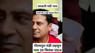 गौतमपुरा मंडी लहसुन भाव 30 सितंबर 2024