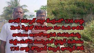 నాగర్ కర్నూల్ జిల్లా కేంద్రంలో చెరువుగా మారిన 17వ వార్డు దోమల బాధ కు గురవుతున్న కాల్ నివాసులు