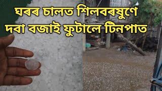 ধেমাজি নিলখ তৰাণিপথাৰত প্ৰৱল শিলাবৃষ্টিত বিস্তৰ ক্ষতি । টিনপাত ফুটি আকাশ ওলাল ৷