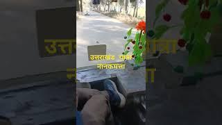 शैक्षणिकयात्रा नानकमत्ता