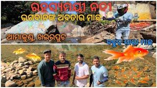 ଆମାକୁଣ୍ଡ, ଖଇରପୁଟ, ମାଲକାନଗିରି ||Amakund,Khairput,Malkangiri