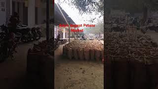 Potato Market// Aaloo mandi आलू मंडी फर्रुखाबाद//