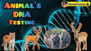 DNA TESTING 🐯वन्य जीव संघर्ष 🐯