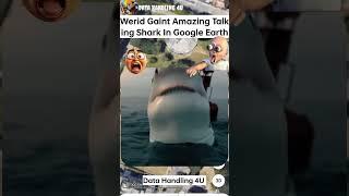 Werid Gaint Amazing Talking Shark In Google Earth