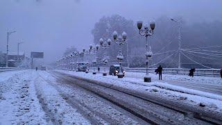 Snowfall in Srinagar