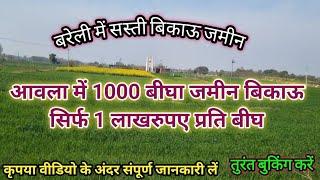 बरेली में सस्ती बिकाऊ जमीन सिर्फ 3.5 लाख रुपए प्रति बीघा agriculture land for sale