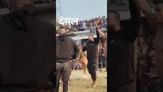 Dekarav Chauraha mein koi Dangal Uttar Pradesh Lakhimpur 🙏🙏🙏🙏🙏🙏🙏🙏🙏