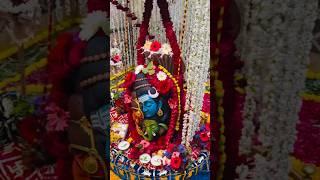 आगर मालवा का श्री बैजनाथ महादेव 🙏❤️मंदिर