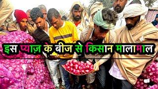 इस प्याज़ के बीज से किसान मालामाल 😲, alwar pyaj mandi bhav today live