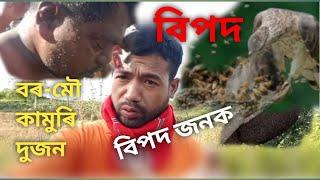 বৰ-মৌ কামুৰি দুজন বিপদ জনক গোলাঘাট টেঙানিত