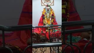 नवसाला पावणारा गणपती बाप्पा | सत्यगणपती मंदिर नांदेड | Satya Ganapati Temple Nanded |