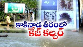 కాకినాడ తీరంలో కేజ్ కల్చర్‌ యూనిట్ల ఏర్పాటు | Establishment Cage Culture Units | Kakinada Coast