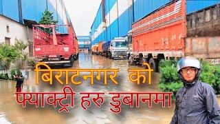 Biratnagar को Factory हरु पनी डुबान मा/ असोज मा आएको बाढी!!