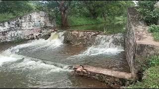 8248086875 திண்டுக்கல் - தேனி நெடுஞ்சாலையில் இருந்து 4 கிலோமீட்டர் தொலைவில் உள்ளது.4 ஏக்கர் 88சென்ட்