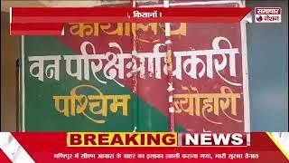 गांवों में जंगली हाथियों का उत्पात, किसानों को हुआ भारी नुकसान  ।शहडोल