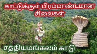 சத்தியமங்கலம் காட்டுக்குள் ஒரு கோயில் ; Temple into the forest