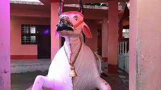 Video// Shree bherav sathan Aurai muzaffarpur bihar
