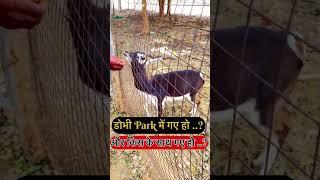 Gaya jila ka video#dobhi park ka hai#Dhobi Park mein#aur kiske sath gaye hain