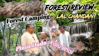 ।Forest Review।।LAL Chandan।।Forest Camping।।ग्राम मझगांव।।MP Burhanpur नेपानगर।