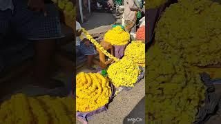 🌽🎋ಹೊಸದುರ್ಗ ತರಕಾರಿ ಮಾರುಕಟ್ಟೆ 🍎🌺#shirt  video