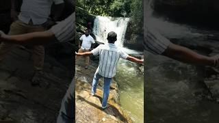 Chikkamagaluru lush green Forest