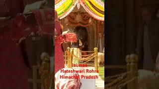 Navratri Hateshwari Vali mata temple Rohru Himachal Pradesh