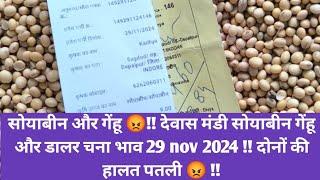 सोयाबीन और गेंहू 😡!! देवास मंडी सोयाबीन गेंहू और डालर चना भाव 29 nov 2024 !! दोनों की हालत पतली 😡 !!