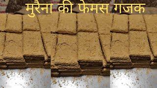 Famous Gajak Making At Mega Factory | मुरैना की फेमस गजक कैसे बनती हे | Dehli Gajak ￼| indianfood